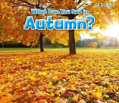 Cover for Sian Smith · What Can You See In Autumn? - Seasons (Paperback Book) (2015)