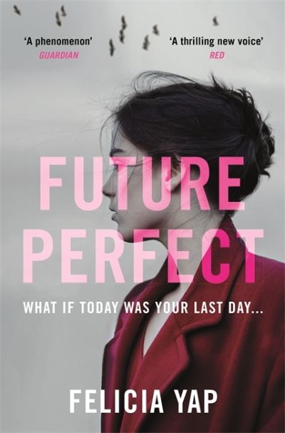 Cover for Felicia Yap · Future Perfect: The Most Exciting High-Concept Novel of the Year (Paperback Book) (2021)