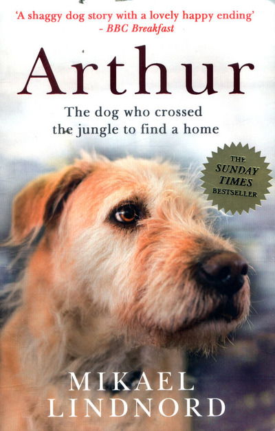 Arthur the King: The dog who crossed the jungle to find a home *WATCH NOW ON AMAZON PRIME* - Mikael Lindnord - Böcker - John Murray Press - 9781473625266 - 26 januari 2017