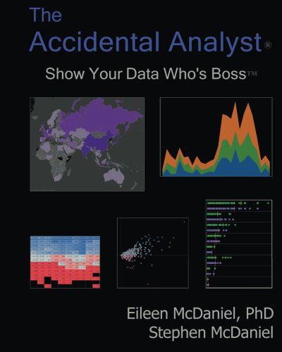 Cover for Stephen Mcdaniel · The Accidental Analyst: Show Your Data Who's Boss (Paperback Book) (2012)