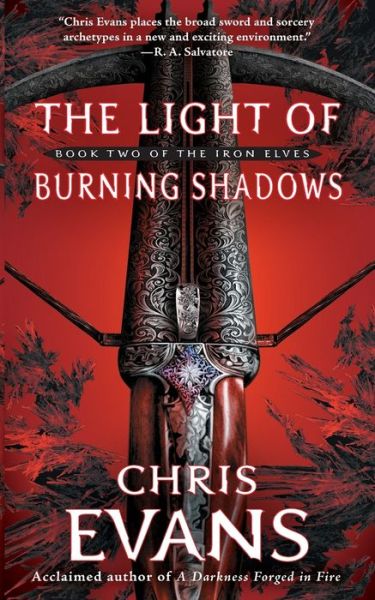 Cover for Professor Chris Evans · The Light of Burning Shadows (Paperback Book) (2017)