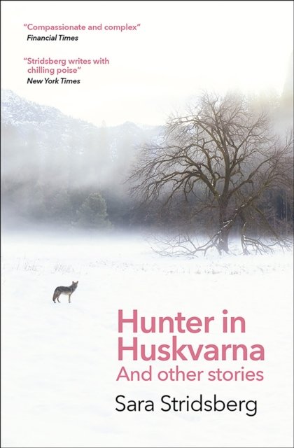 Cover for Sara Stridsberg · Hunter in Huskvarna (Taschenbuch) (2024)