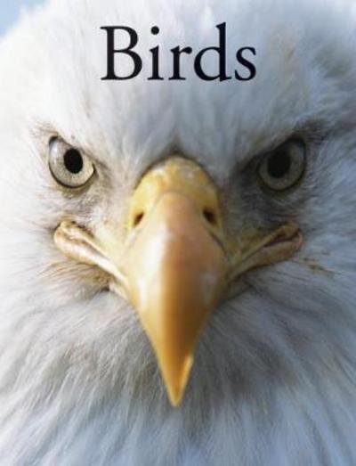 Cover for Per Christiansen · Birds (Paperback Book) (2018)