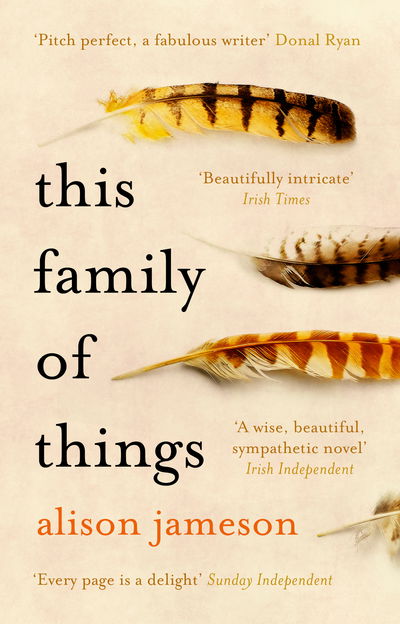 Cover for Jameson, Alison (Author) · This Family of Things (Paperback Book) (2018)