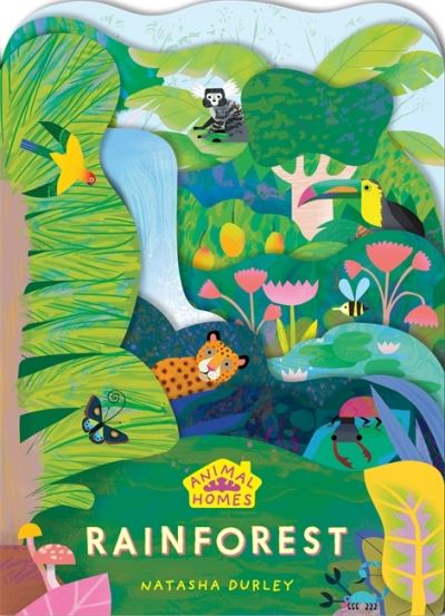 Cover for Animal Homes Rainforest · Animal Homes: Rainforest - Animal Homes (Board book) (2023)