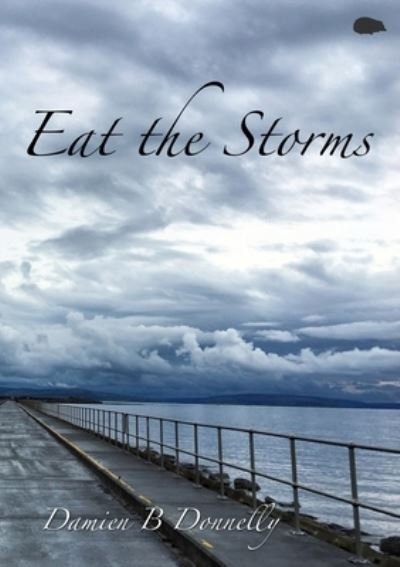 Cover for Damien B Donnelly · Eat the Storms (Paperback Book) (2020)