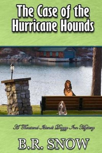 Cover for B R Snow · The Case of the Hurricane Hounds (Paperback Bog) (2017)