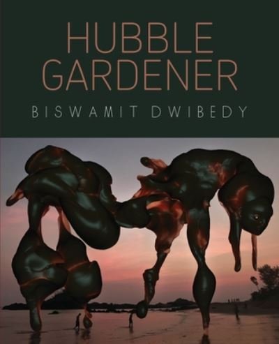 Cover for Biswamit Dwibedy · Hubble Gardener (Paperback Book) (2018)