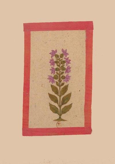 Cover for Sans Auteur · Carnet Blanc Fleur 2, Miniature Indienne 18e Siecle (Paperback Book) (2016)