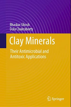 Cover for Bhaskar Ghosh · Clay Minerals: Their Antimicrobial and Antitoxic Applications (Hardcover Book) [1st ed. 2023 edition] (2023)