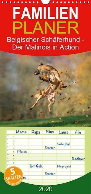 Cover for Brandt · Belgischer Schäferhund - Der Mal (Book)