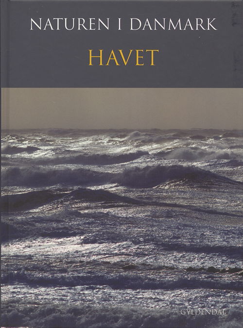 Cover for Kaj Sand-Jensen; Tom Fenchel · Naturen i Danmark: Naturen i Danmark, bd. 1 (Innbunden bok) [1. utgave] [Indbundet] (2006)