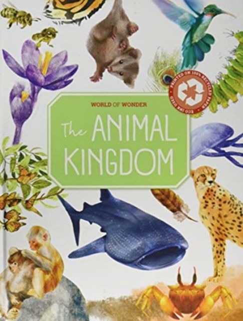 Cover for Yoyo Books · Animal Kingdom - World of Wonder (Hardcover Book) (2021)