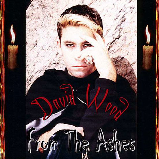 Cover for David Wood · From the Ashes (CD) (2007)