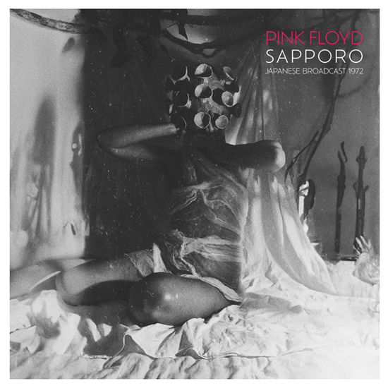 Sapporo (Clear Vinyl) - Pink Floyd - Musiikki - OFF THE SHELF - 0803341602267 - perjantai 26. huhtikuuta 2024