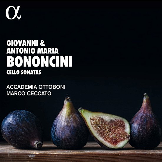Cover for Marco Ceccato · Bononcini: Cello Sonatas (CD) (2022)