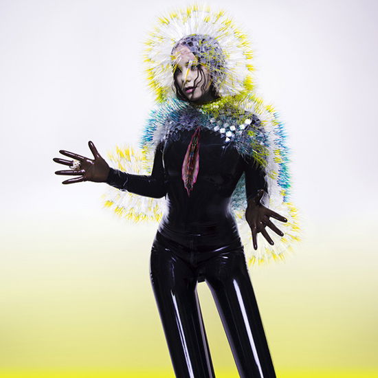 Cover for Bjork · Vulnicura (LP) (2015)