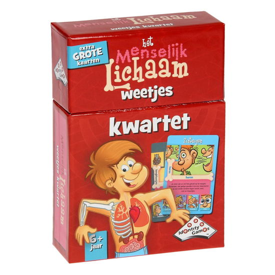 Menselijk Lichaam Kwartet - Identity Games - Produtos - Identity Games - 8714649011267 - 