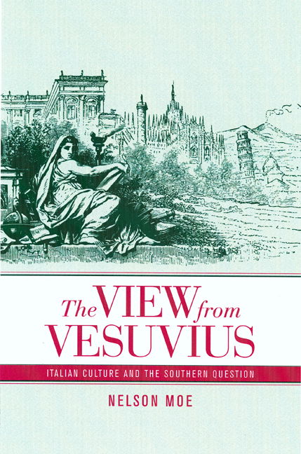 Cover for Nelson J. Moe · The View from Vesuvius: Italian Culture and the Southern Question - Studies on the History of Society and Culture (Paperback Book) (2006)
