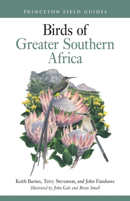 Keith Barnes · Birds of Greater Southern Africa - Princeton Field Guides (Paperback Book) (2024)