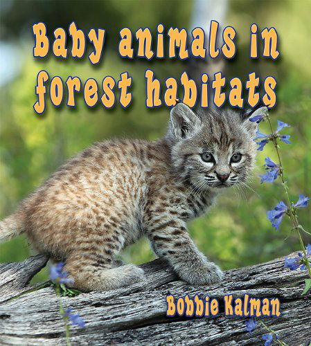 Cover for Bobbie Kalman · Baby Animals in Forest Habitats (Habitats of Baby Animals) (Hardcover Book) (2011)