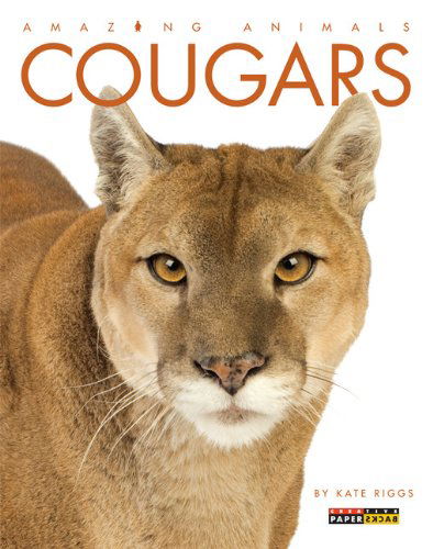 Cover for Kate Riggs · Amazing Animals: Cougars (Paperback Book) (2014)