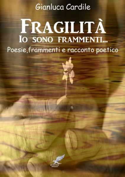 Cover for Gianluca Cardile · Fragilità, IO Sono Frammenti... (Book) (2016)