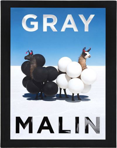 Gray Malin: The Essential Collection - Gray Malin - Books - Abrams - 9781419750267 - October 20, 2020