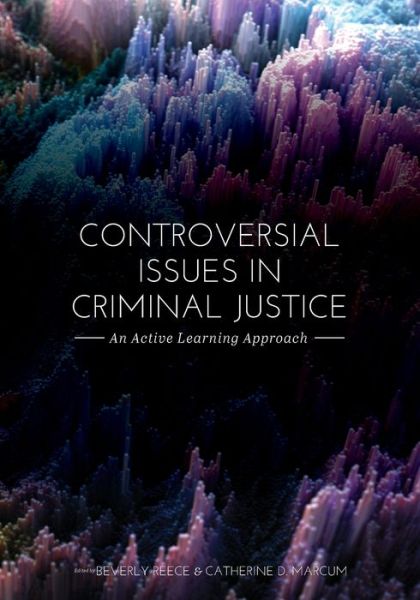 Cover for Controversial Issues in Criminal Justice: An Active Learning Approach (Paperback Book) (2019)