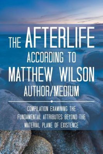 Cover for Matthew Wilson · The Afterlife According to Matthew Wilson Author / Medium (Paperback Book) (2016)