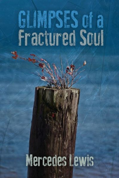 Cover for Mercedes Lewis · Glimpses of a Fractured Soul (Paperback Book) (2017)