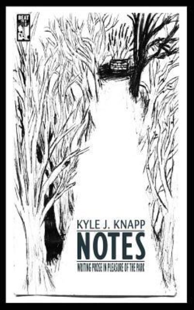 Cover for Kyle J Knapp · Notes (Paperback Book) (2017)