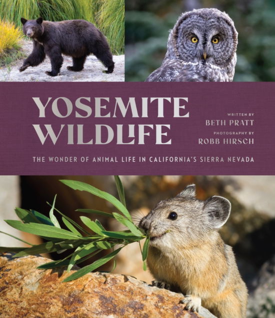 Yosemite Wildlife: The Wonder of Animal Life in California's Sierra Nevada - Beth Pratt - Bücher - Yosemite Conservancy - 9781951179267 - 30. Oktober 2025