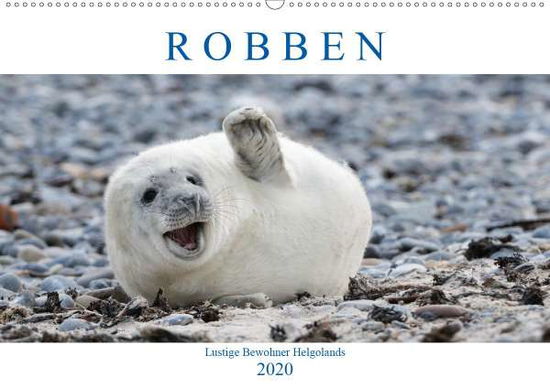 Robben - Lustige Bewohner Helgolan - Orth - Books -  - 9783671035267 - 