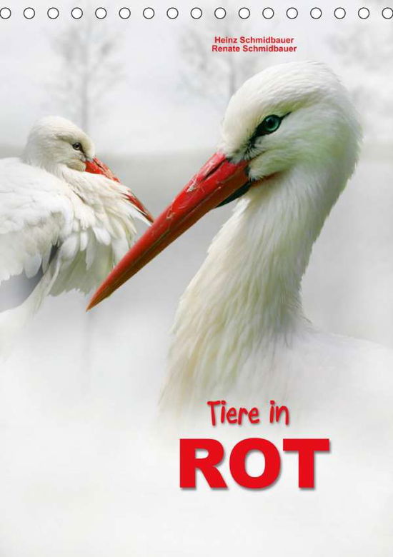 Cover for Schmidbauer · Tiere in ROT (Tischkalender (Book)