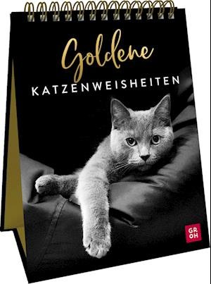 Cover for Groh Verlag · Goldene Katzenweisheiten (Buch) (2022)
