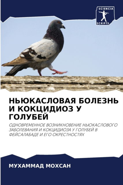 Cover for ???????? ?????? · ??????????? ??????? ? ????????? ? ??????? (Pocketbok) (2021)