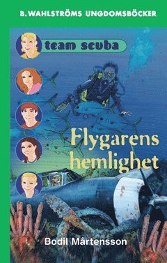 Cover for Bodil Mårtensson · Flygarens hemlighet (Paperback Book) (2018)