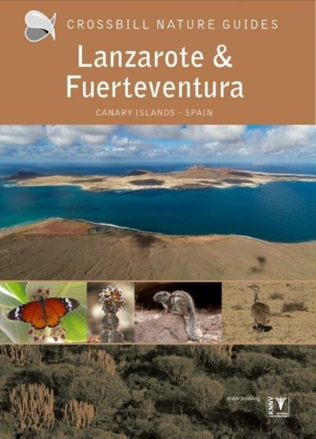 Dirk Hilbers · Lanzarote and Fuerteventura: Spain - Crossbill Guides (Pocketbok) [2 Revised edition] (2023)