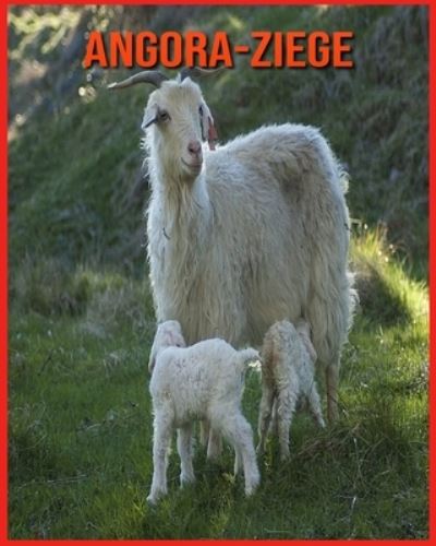 Cover for Annie Nichols · Angora-Ziege (Paperback Book) (2021)