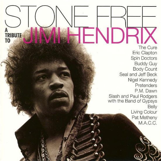 Jimi Hendrix Tribute · Stone Free: Jimi Hendrix Tribu (LP) [Coloured edition] (2020)