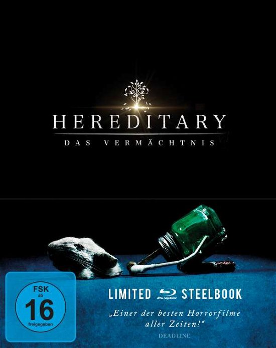 Hereditary-das Vermächtnis Ltd.steelbook - Collette,toni / Byrne,gabriel / Wolff,alex/+ - Movies - SPLENDID FILM GMBH - 4013549103268 - October 26, 2018