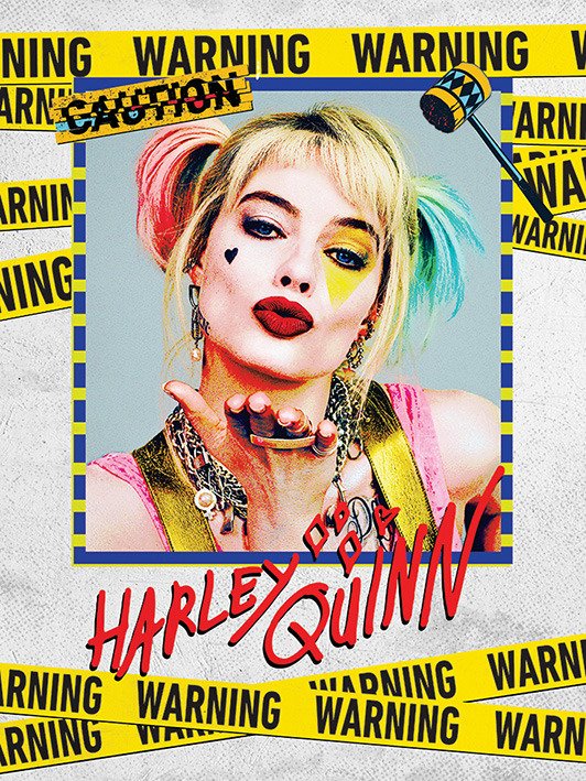 Cover for Dc Comics · Birds Of Prey - Harley Quinn Warning A5 Notebook (MERCH) (2020)