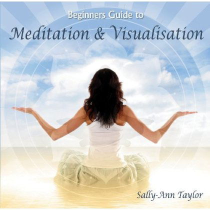 Cover for Sally-Ann Taylor · Beginners Guide To Meditation &amp; Visualisation (CD) (2012)