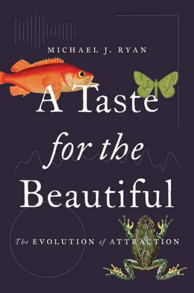 Cover for Michael J. Ryan · A Taste for the Beautiful: The Evolution of Attraction (Hardcover Book) (2018)