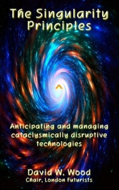 The Singularity Principles - David Wood - Books - Delta Wisdom - 9780995494268 - July 27, 2022