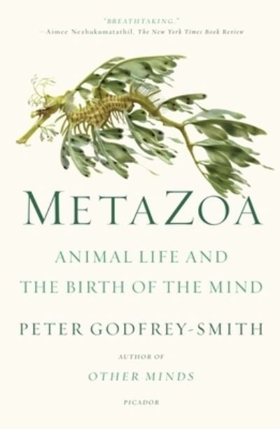 Cover for Peter Godfrey-Smith · Metazoa: Animal Life and the Birth of the Mind (Taschenbuch) (2021)