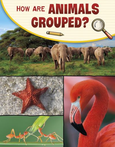 Cover for Lisa M. Bolt Simons · How Are Animals Grouped? - Science Enquiry (Hardcover Book) (2022)