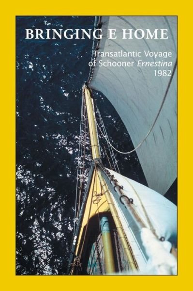 Cover for Stephan J. W. Platzer · Bringing E home (Book) (2009)