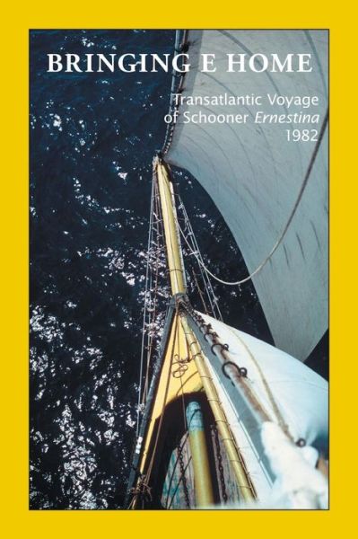 Bringing E home - Stephan J. W. Platzer - Books - Trafford - 9781425172268 - February 20, 2009